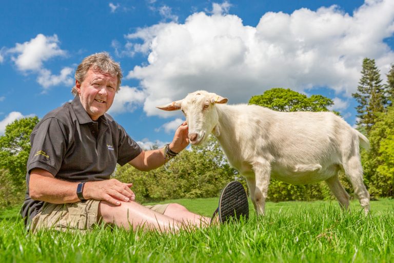 Founder David Walker strokes a white goat