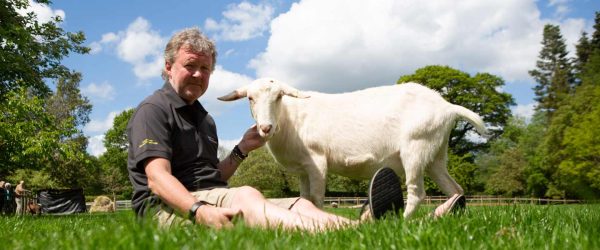 Corporate partnerships