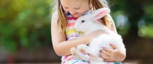 Do rabbits make good pets for children
