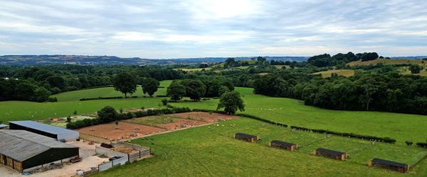Goodheart Farm Animal Sanctuary in Worcestershire Shropshire