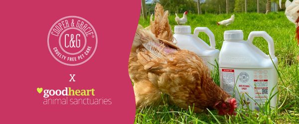 Goodheart Animal Sanctuary and Cooper & Gracie Collaboration