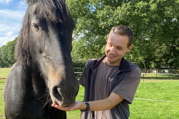 Animal Care Assistant Dylan and William the Horse