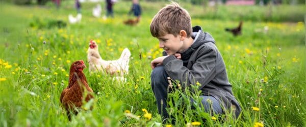 School Trips and Educational Visits to Goodheart Animal Sanctuary