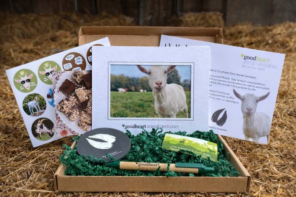 Adopt a goat as a gift for animal lovers