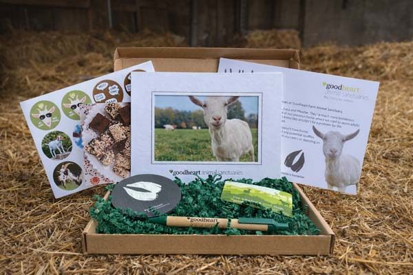 Cardboard box on hay contains Goodheart Animal Sanctuaries items: goat-themed postcards, a pen, and a candle, conveying a rustic and cosy vibe.