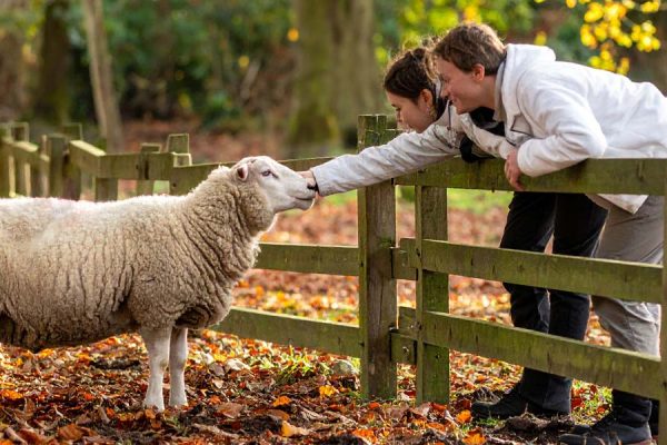 Animal Sanctuary Autumn Open Day