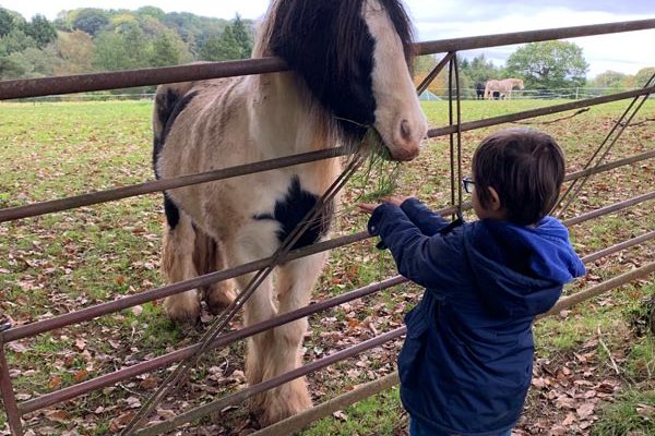 Kids animal experience at Goodheart Farm Animal Sanctuary in Worcestershire