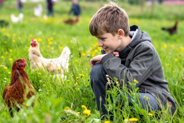 School Trips and Educational Visits to Goodheart Animal Sanctuary