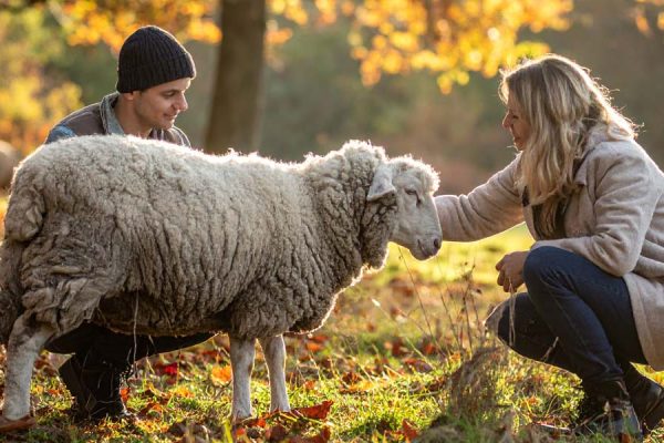 Visit our animal sanctuary in the UK