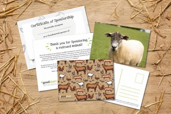 Sponsor a sheep as a gift | sheep sponsorship pack